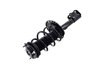 2333926L Suspension Strut and Coil Spring Assembly - image 3