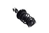 2333926L Suspension Strut and Coil Spring Assembly - image 4