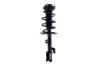 2333926R Suspension Strut and Coil Spring Assembly - image 1