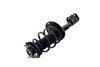 2333926R Suspension Strut and Coil Spring Assembly - image 3