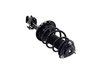 2333926R Suspension Strut and Coil Spring Assembly - image 4