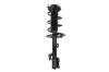 2333945L Suspension Strut and Coil Spring Assembly - image 1