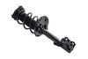 2333945L Suspension Strut and Coil Spring Assembly - image 2