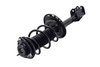 2333945L Suspension Strut and Coil Spring Assembly - image 3