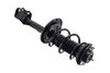 2333945R Suspension Strut and Coil Spring Assembly - image 4