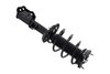 2333957R Suspension Strut and Coil Spring Assembly - image 4