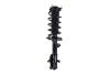 2333969L Suspension Strut and Coil Spring Assembly - image 1