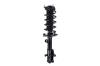 2333969R Suspension Strut and Coil Spring Assembly - image 1