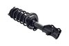 2333969R Suspension Strut and Coil Spring Assembly - image 2
