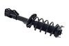 2333969R Suspension Strut and Coil Spring Assembly - image 4