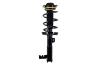 2333987L Suspension Strut and Coil Spring Assembly - image 1