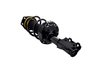 2333987L Suspension Strut and Coil Spring Assembly - image 2