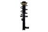 2333987R Suspension Strut and Coil Spring Assembly - image 1