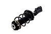 2333987R Suspension Strut and Coil Spring Assembly - image 3