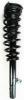 2335543L Suspension Strut and Coil Spring Assembly - image 1