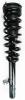 2335543R Suspension Strut and Coil Spring Assembly - image 1