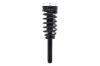 2335556 Suspension Strut and Coil Spring Assembly - image 1