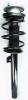 2335564L Suspension Strut and Coil Spring Assembly - image 1