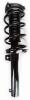 2335576 Suspension Strut and Coil Spring Assembly - image 1