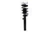 2335682L Suspension Strut and Coil Spring Assembly - image 1