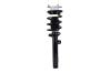 2335682R Suspension Strut and Coil Spring Assembly - image 1