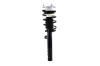 2335684L Suspension Strut and Coil Spring Assembly - image 1
