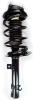 2335779L Suspension Strut and Coil Spring Assembly - image 1