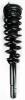 2335790 Suspension Strut and Coil Spring Assembly - image 1