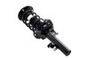 2335795L Suspension Strut and Coil Spring Assembly - image 2