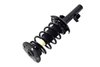 2335795L Suspension Strut and Coil Spring Assembly - image 3