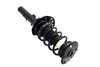 2335795L Suspension Strut and Coil Spring Assembly - image 4