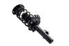 2335795R Suspension Strut and Coil Spring Assembly - image 2