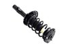 2335795R Suspension Strut and Coil Spring Assembly - image 4