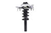2335832L Suspension Strut and Coil Spring Assembly - image 1