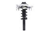 2335832R Suspension Strut and Coil Spring Assembly - image 1