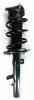2335877L Suspension Strut and Coil Spring Assembly - image 1