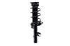 2335893L Suspension Strut and Coil Spring Assembly - image 1