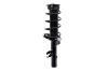 2335893R Suspension Strut and Coil Spring Assembly - image 1