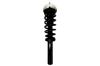 2335906 Suspension Strut and Coil Spring Assembly - image 1