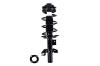 2335908L Suspension Strut and Coil Spring Assembly - image 1