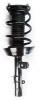 2335909R Suspension Strut and Coil Spring Assembly - image 1