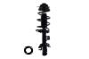 2335992R Suspension Strut and Coil Spring Assembly - image 1