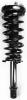 2336305R Suspension Strut and Coil Spring Assembly - image 1