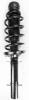 2336306 Suspension Strut and Coil Spring Assembly - image 1