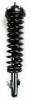 2336310 Suspension Strut and Coil Spring Assembly - image 1