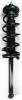 2336312 Suspension Strut and Coil Spring Assembly - image 1