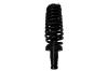2336324 Suspension Strut and Coil Spring Assembly - image 1