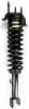 2336338 Suspension Strut and Coil Spring Assembly - image 1