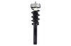 2337073 Suspension Strut and Coil Spring Assembly - image 1