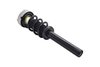 2337073 Suspension Strut and Coil Spring Assembly - image 2